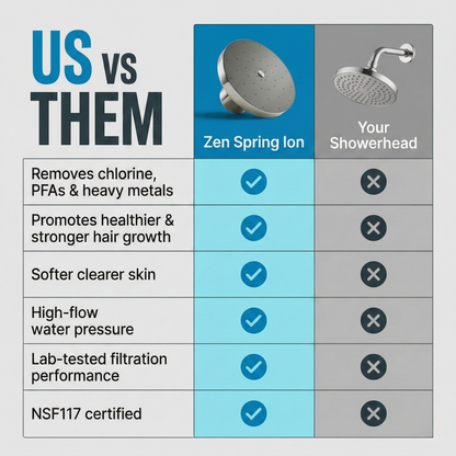 Zen Spring Ion Shower Head