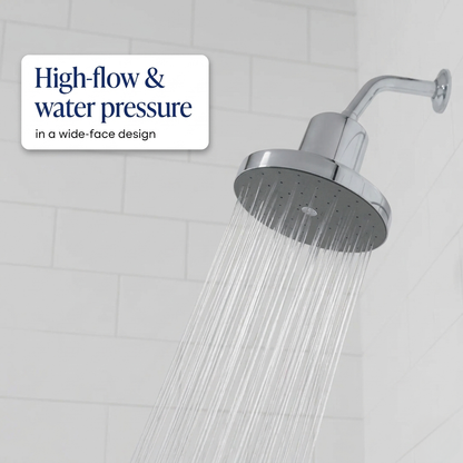 Zen Spring Ion Shower Head